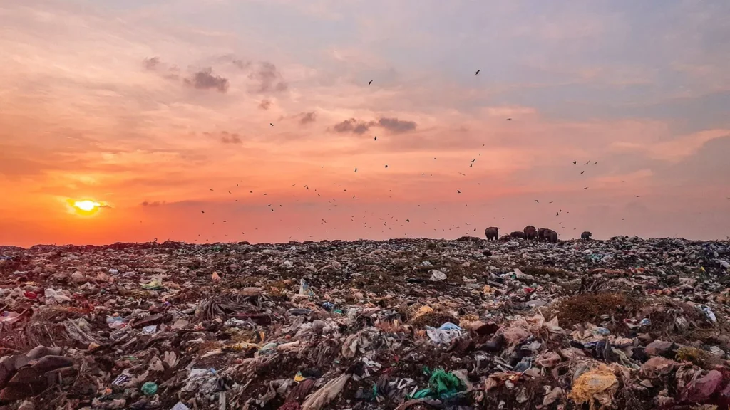discarica di vestiti